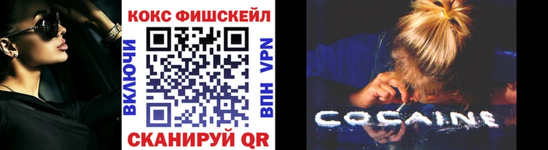Купить закладки  Новокузнецк  Cocaine FishScale 