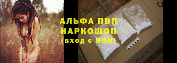 бошки Иннополис