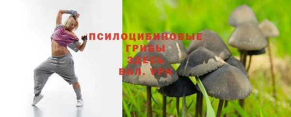 прущий лед Инсар