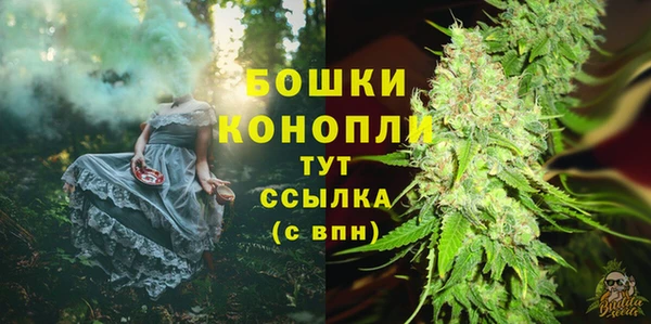 прущий лед Инсар