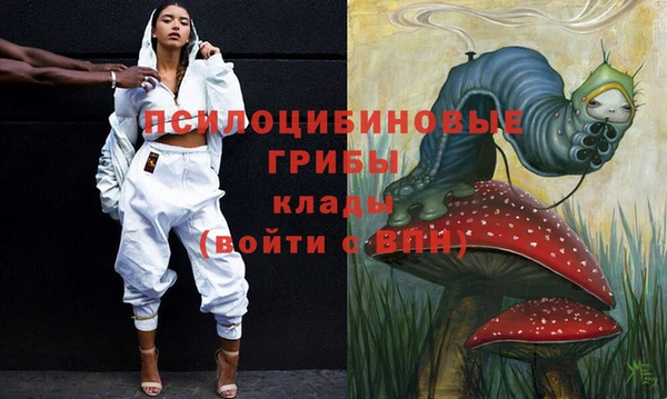 прущий лед Инсар