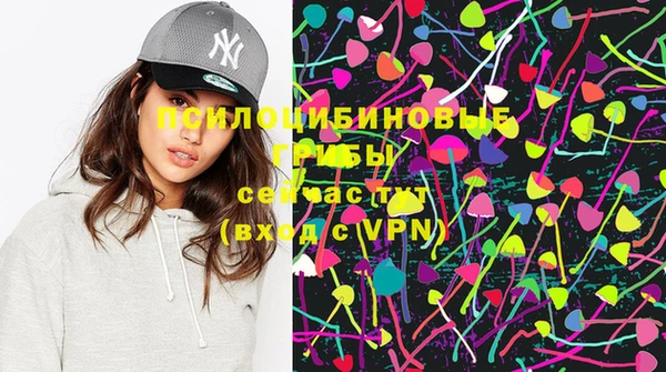 бошки Иннополис