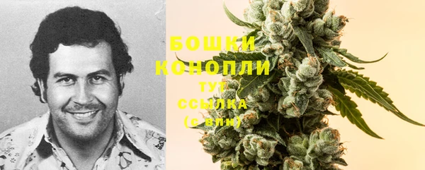 прущий лед Инсар