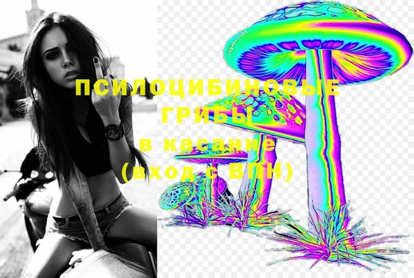 прущий лед Инсар