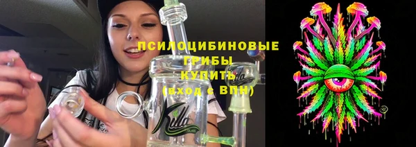 бошки Иннополис