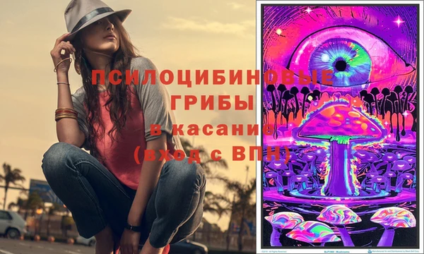 прущий лед Инсар